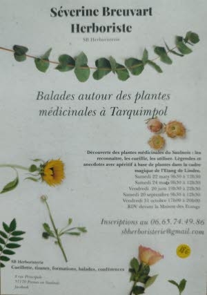balade-autour-des-plantes-medicinales