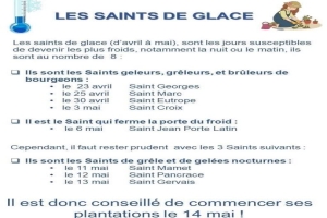 Les Saints de glace arrivent dès aujourd'hui