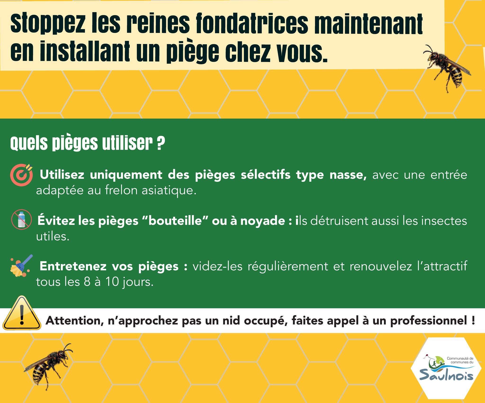 648893447 1214525050882780 7290364806251861015 n