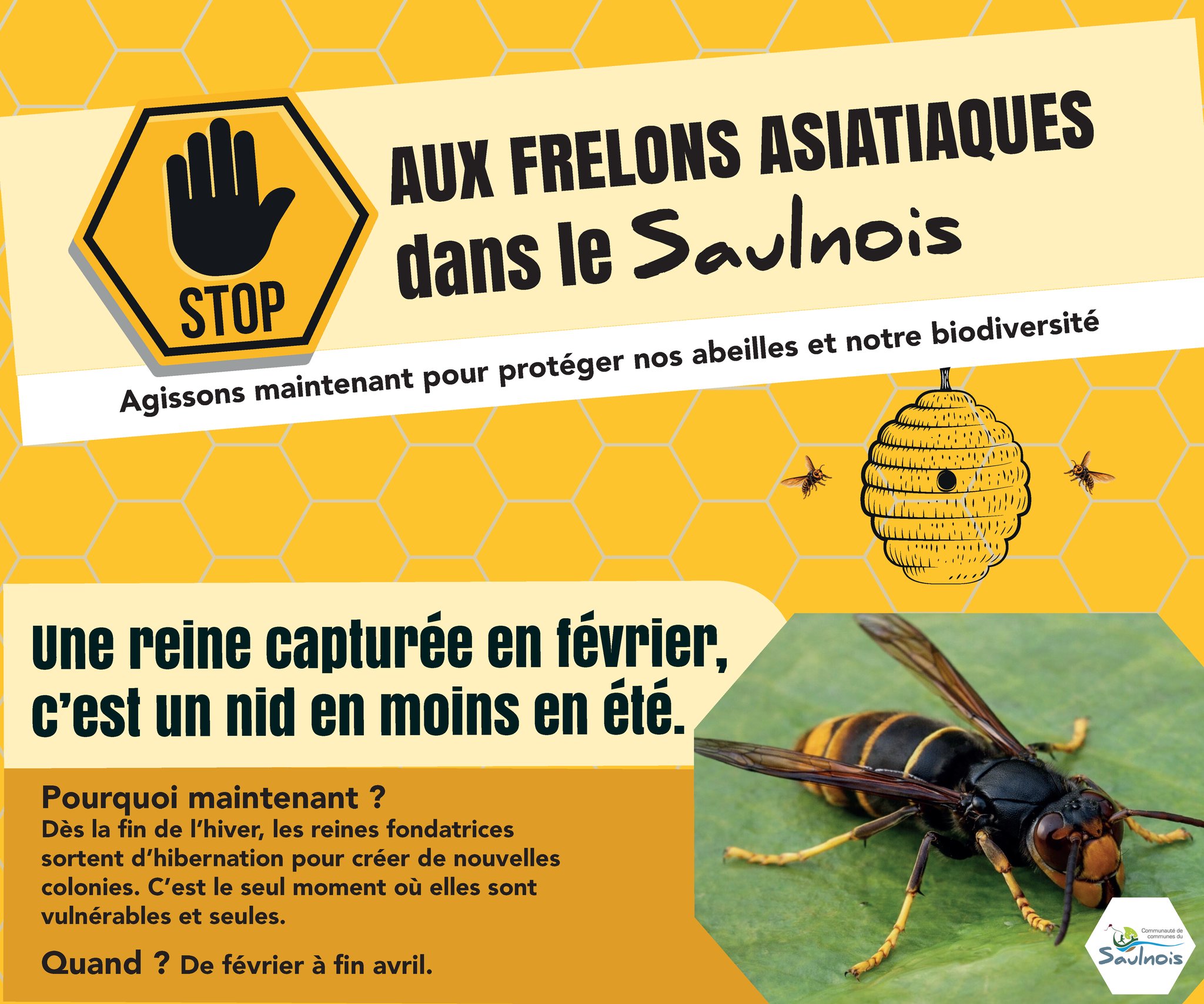 649475102 1214525040882781 4486240297675955329 n