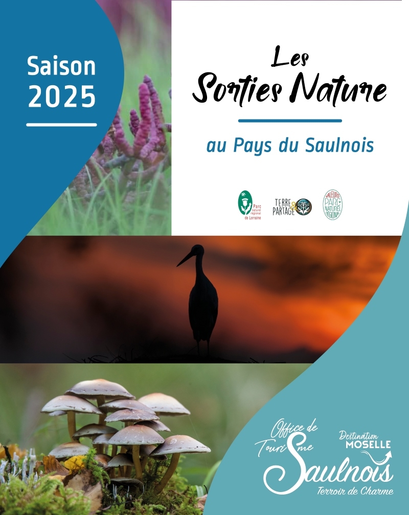 504405665_1181285907374908_3154431821096355350_n