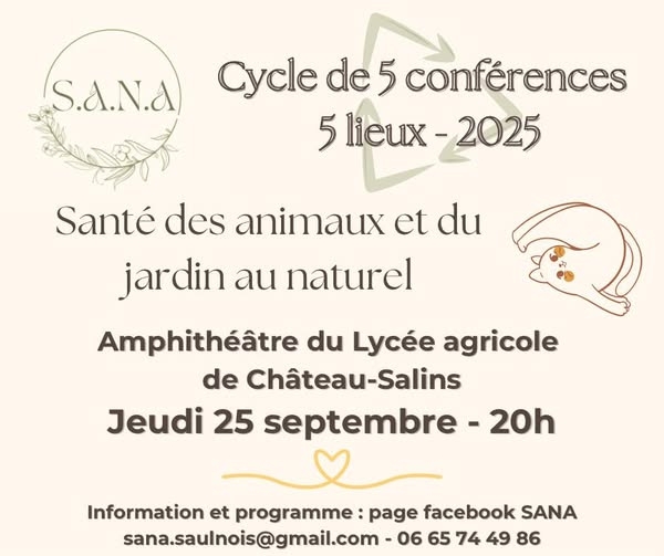 541342864_122201381714308620_3117695075743093763_n