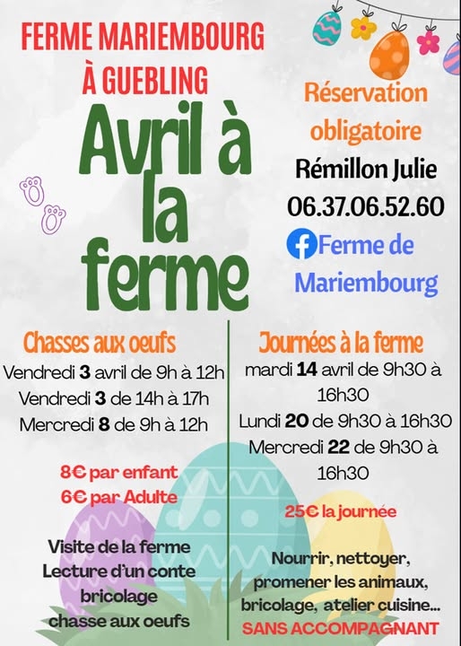 646406542_925057196921204_6544683327177316233_n