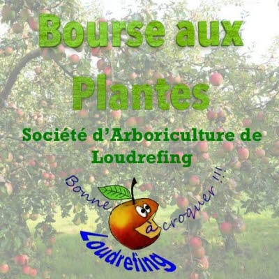 illustration-bourse-aux-plantes_1-1760280735