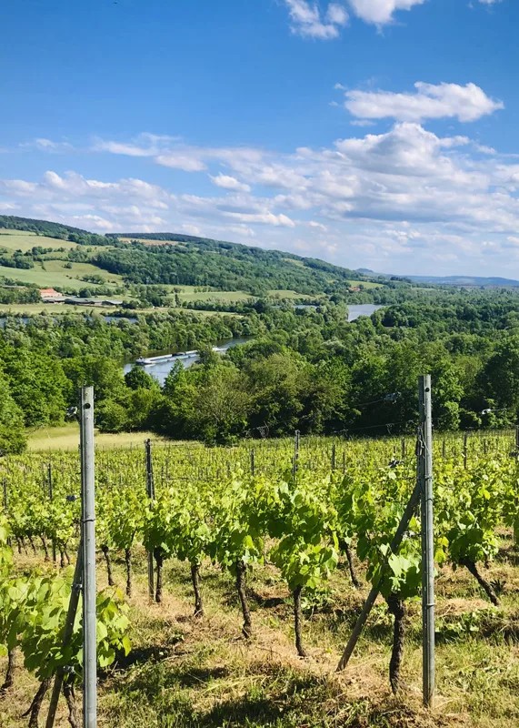 remi gauthier web.jpg